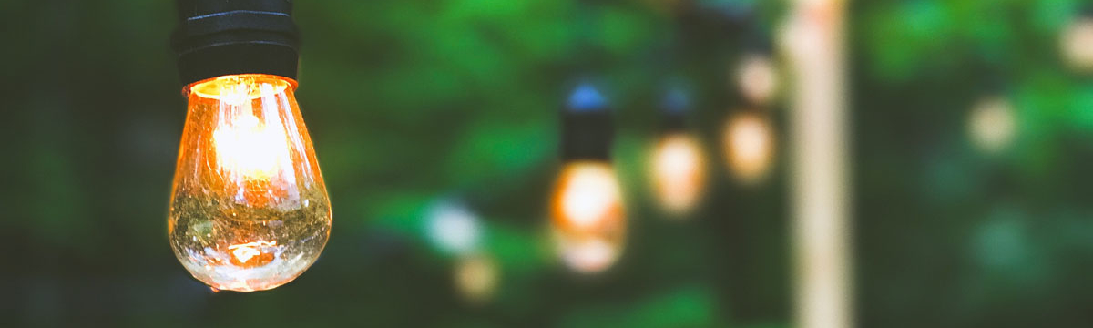 banner image